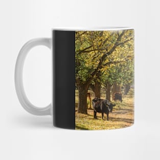 The Long Driveway - Almost Autumn Mug